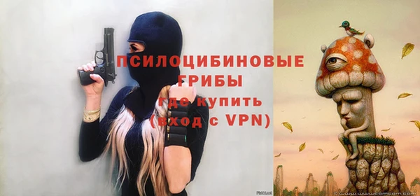 PSILOCYBIN Дмитров