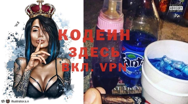 мдпв Гусев