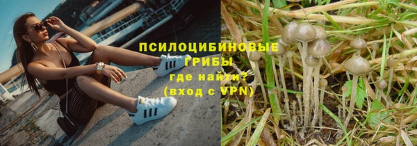 ПСИЛОЦИБИНОВЫЕ ГРИБЫ Дмитровск