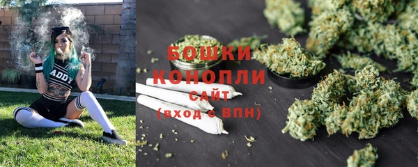 PSILOCYBIN Дмитров