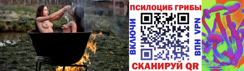 Псилоцибиновые грибы Psilocybine cubensis  Черепаново 